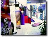 showroom pic